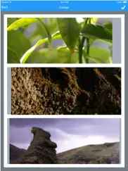 photo collage - create & edit айпад изображения 2