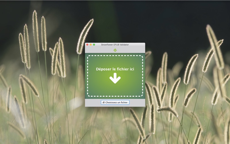 Screenshot #1 pour Snowflower EPUB Validator