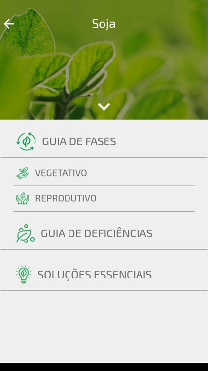 Soluções Essenciais Stoller