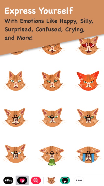Colby Cat