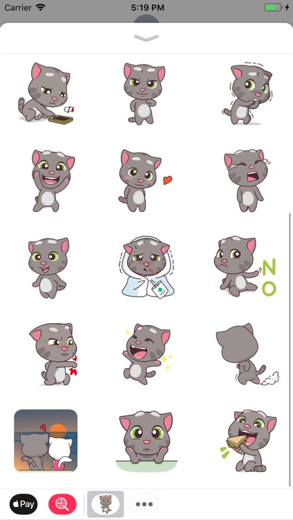 Baby Cat Name Tommy Stickers
