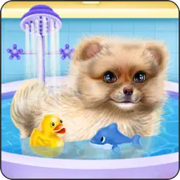 Pomeranian Puppy Day Care app icon