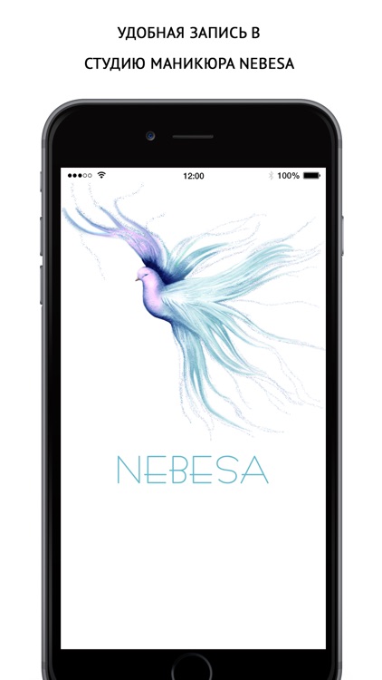 NEBESA