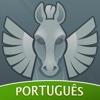 Cavaleiros Amino em Português