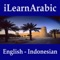English, Arabic, Indonesian idiom and conversation dictionary