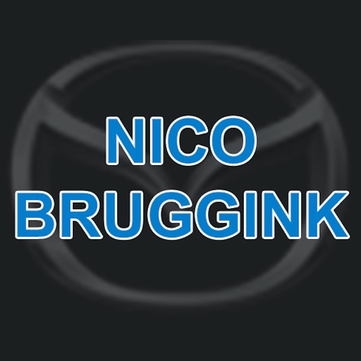 Autobedrijf Nico Bruggink