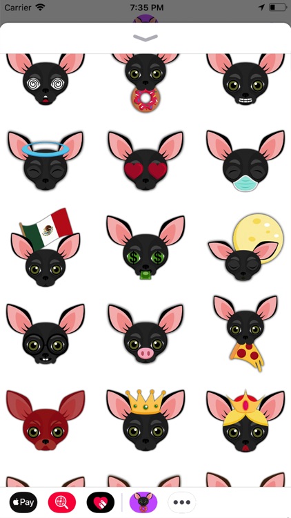 Animated Black Chihuahua