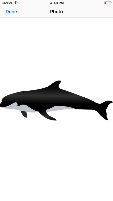 Real Whale Stickers screenshot 2