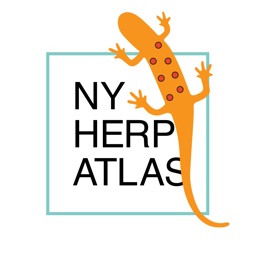 New York Herp Atlas Reporter