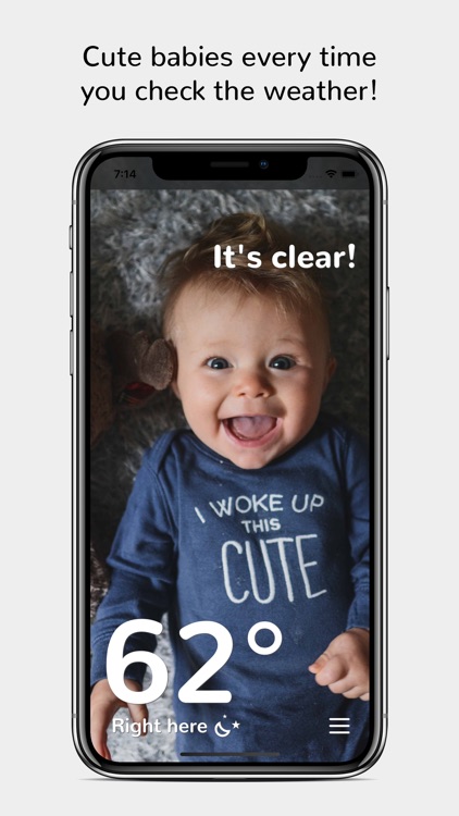 Avocuddle - Your Weather Baby