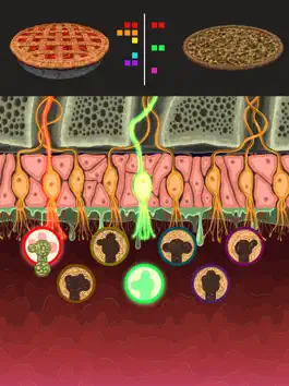 Game screenshot Taste & Smell Neuroscience apk