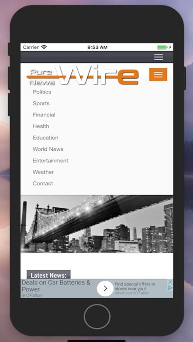 PureWireNews screenshot 4