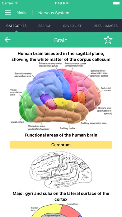 Nervous System Reference Guide screenshot 3