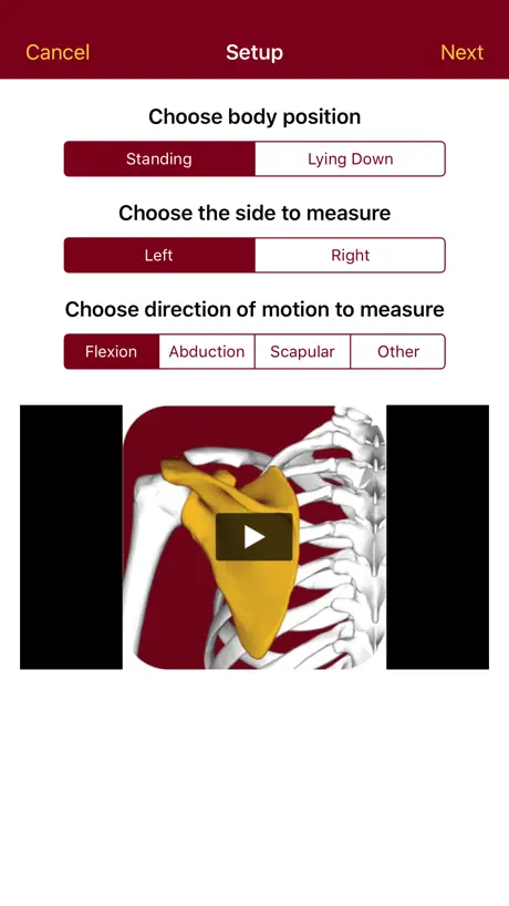 MnMotion Lite
