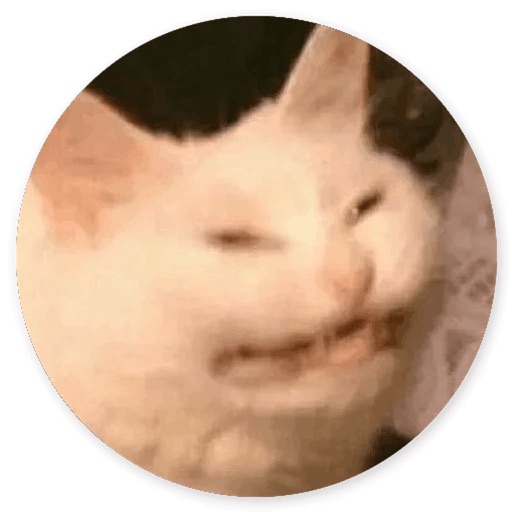 Stupid Cats icon