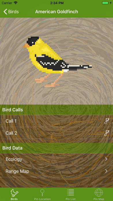 Word of the Bird screenshot 2