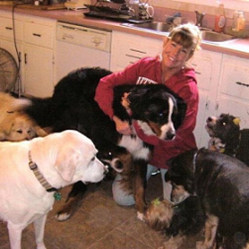 Terry Lynns Critters