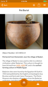 Petrie Museum screenshot