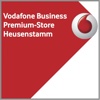 Vodafone HST