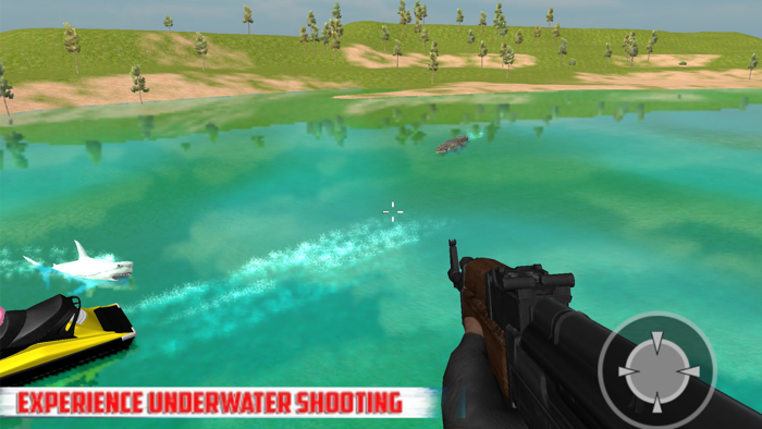 Underwater Shooting