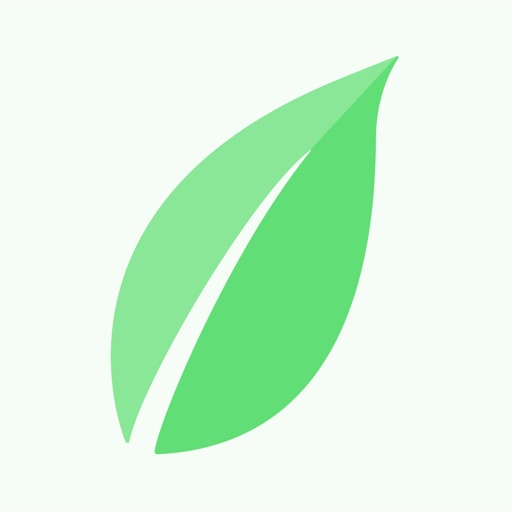 Serenitea Icon