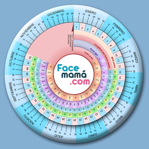 Pregnancy Gestogram