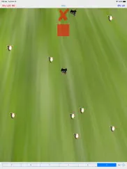 flocky count your sheep ipad resimleri 3