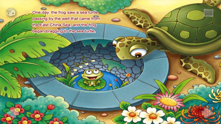 A Frog Under the Well