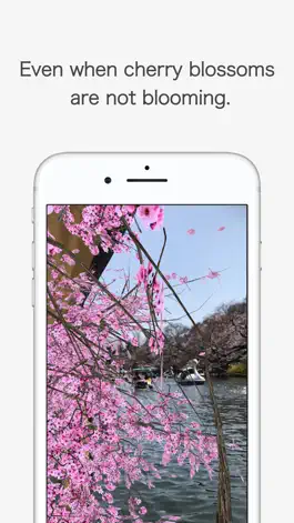 Game screenshot AR Hanami hack