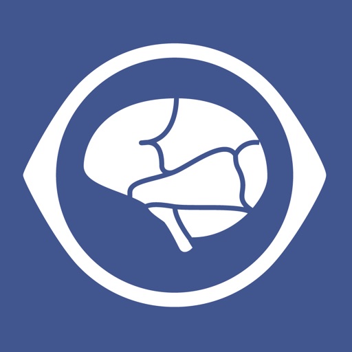 iSurf BrainView Icon