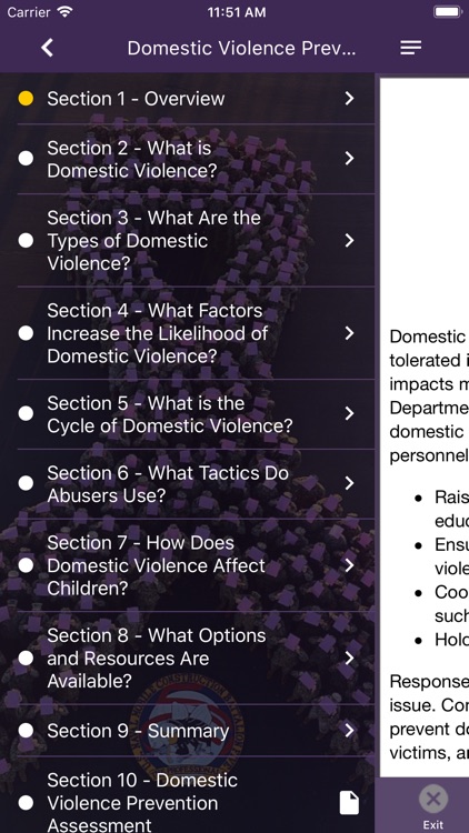 Domestic Violence Prevention