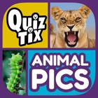 QuizTix: Animal Pics Quiz