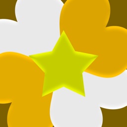 Dia de Sorte Loteria