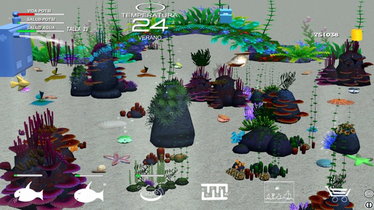 Potsi, your little fish