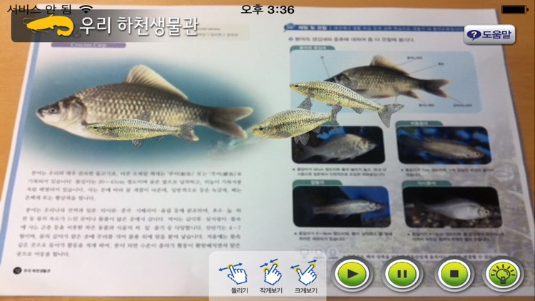 AR 우리 하천생물관 - 알짬교육 자연사 박물관 시리즈