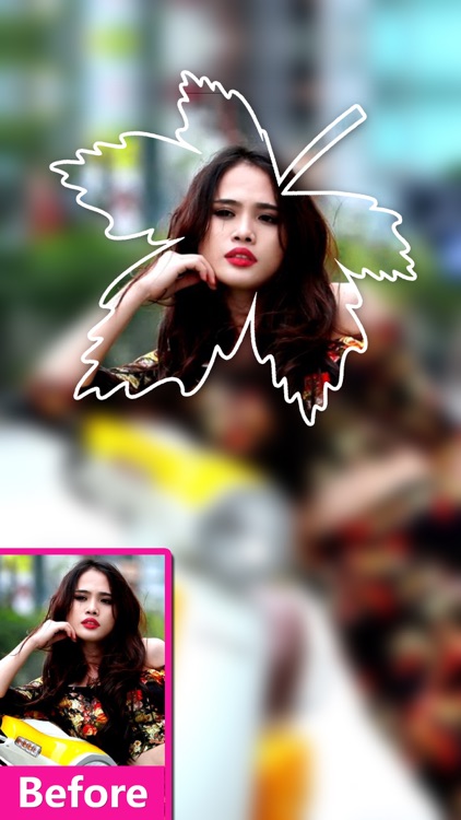 DSLR Camera Blur Shape Effects