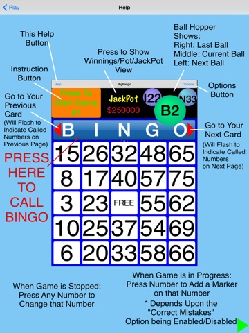 BigBingo screenshot 4