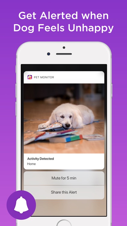 Pet Monitor