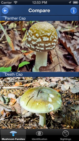 Mushroom Id Guide - UKのおすすめ画像3