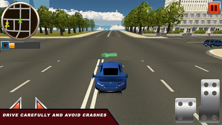 Extreme Car Driving School