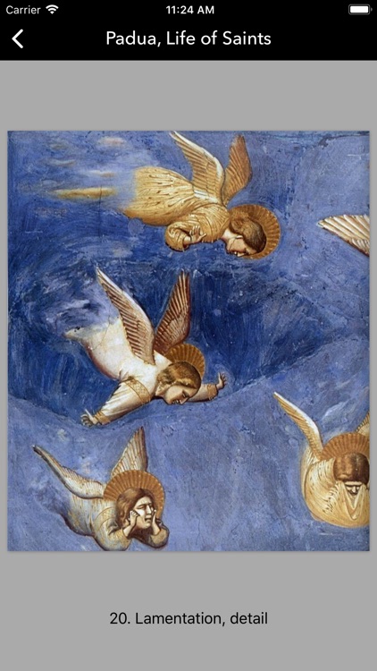 Giotto's Art