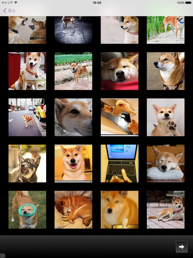 犬図鑑 Dog S Family をapp Storeで