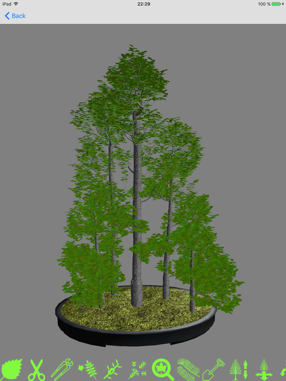 Screenshot #5 pour Bonsai Master