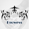 Prowess-GameChanger