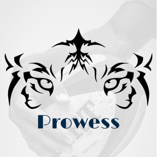 Prowess-GameChanger