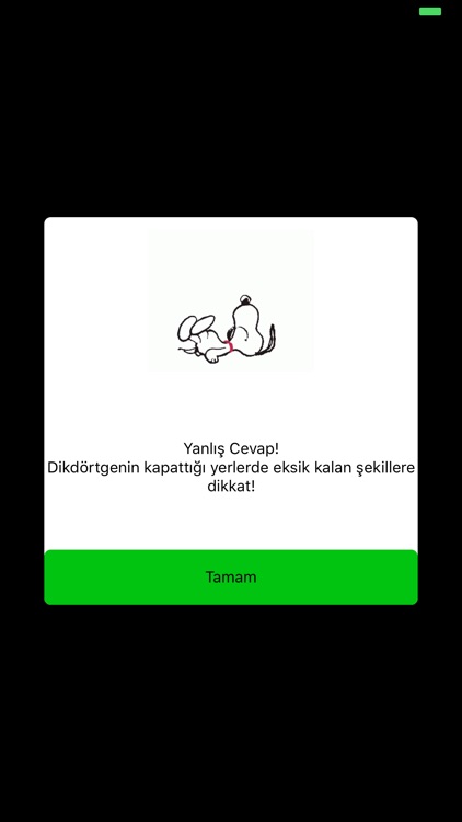 Bilsem Sınavı 1 + 15 deneme screenshot-3