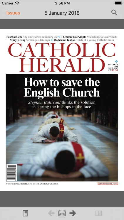 The Catholic Herald screenshot-4