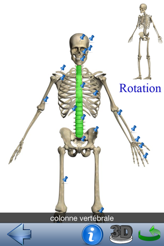 Visual Anatomy Lite screenshot 3