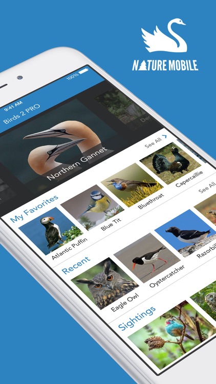 iKnow Birds 2 LITE