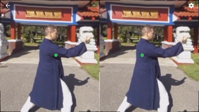 Tai Chi Trainer XR Screenshot